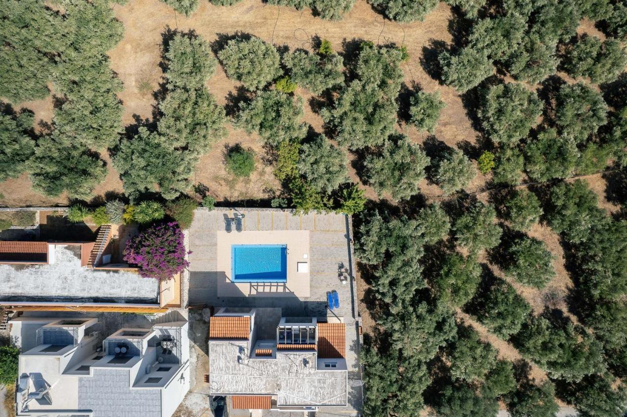 Greek Sky - New Modern Apartment With Shared Pool Tavronitis Eksteriør billede