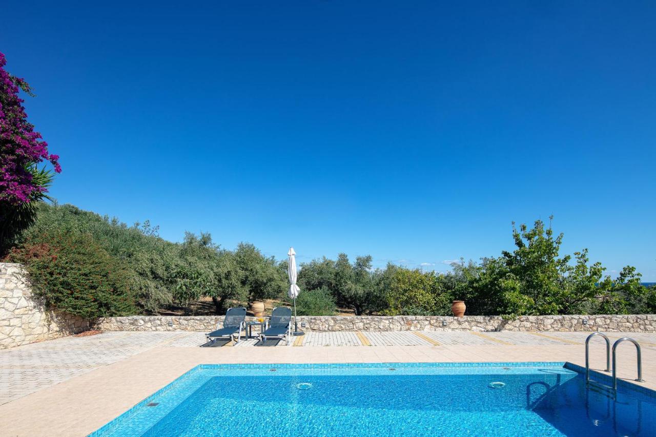 Greek Sky - New Modern Apartment With Shared Pool Tavronitis Eksteriør billede